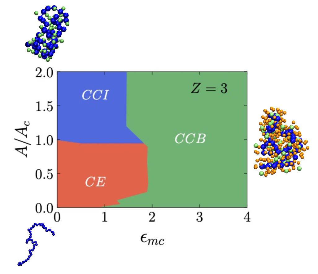 The conformational phase diagram of charged polymers in the presence of attractive bridging crowders