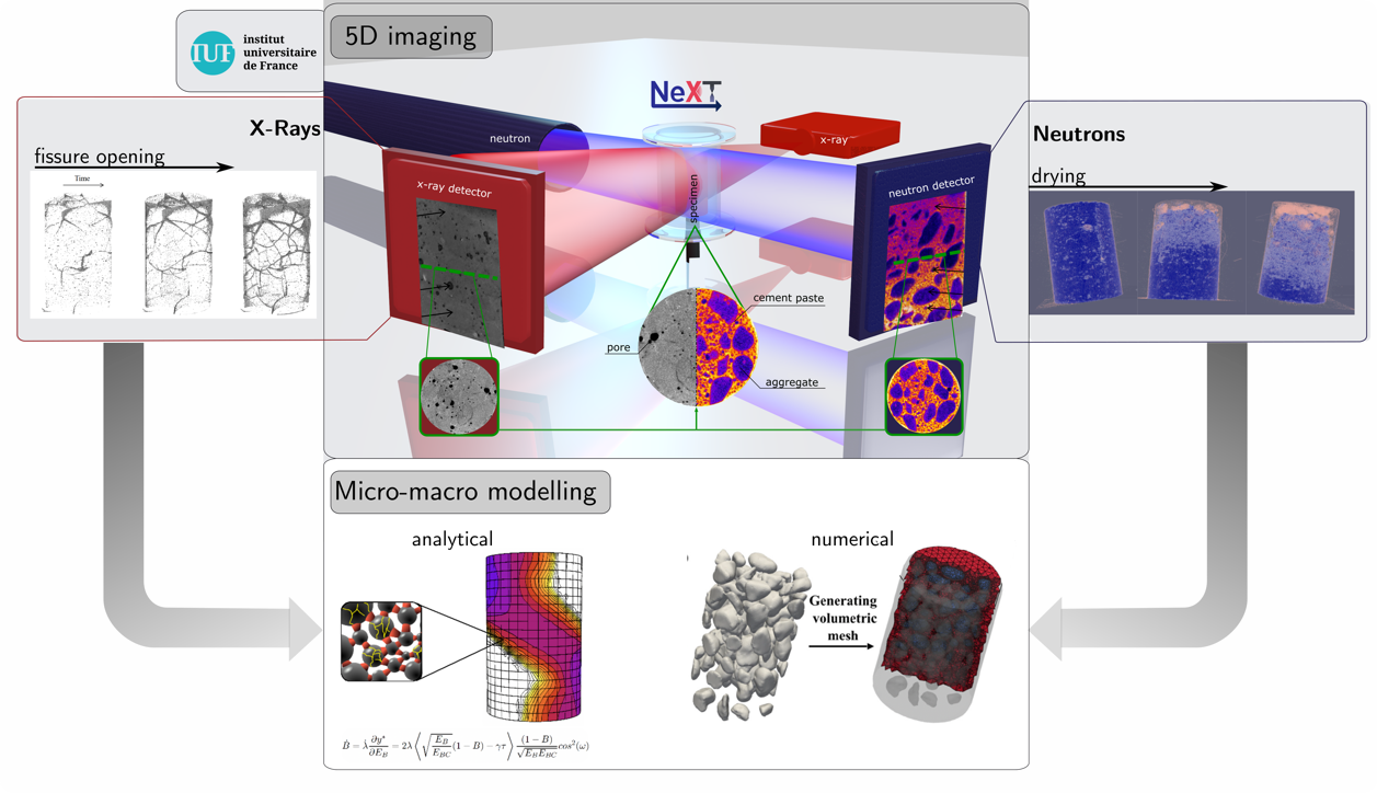 A synoptic view of the use of combined neutron and X-ray image to obtain 5D datasets which are then used to validate and calibrate micro-to-macro analytical and numerical models. 